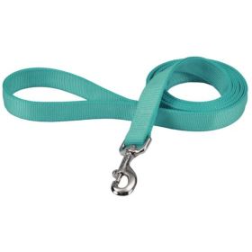 Coastal Pet Double-ply Nylon Dog Lead Teal - 72"L x 1"W